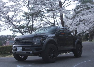 Ford Raptor 6.2 SVT, with Rays Gram Lights Wheels and other Mods